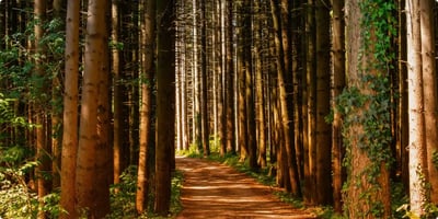How can we Protect our Environment for Future.-featured