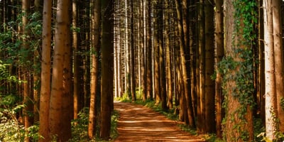 How can we Protect our Environment for Future.-featured