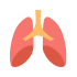 Pulmonology concept
