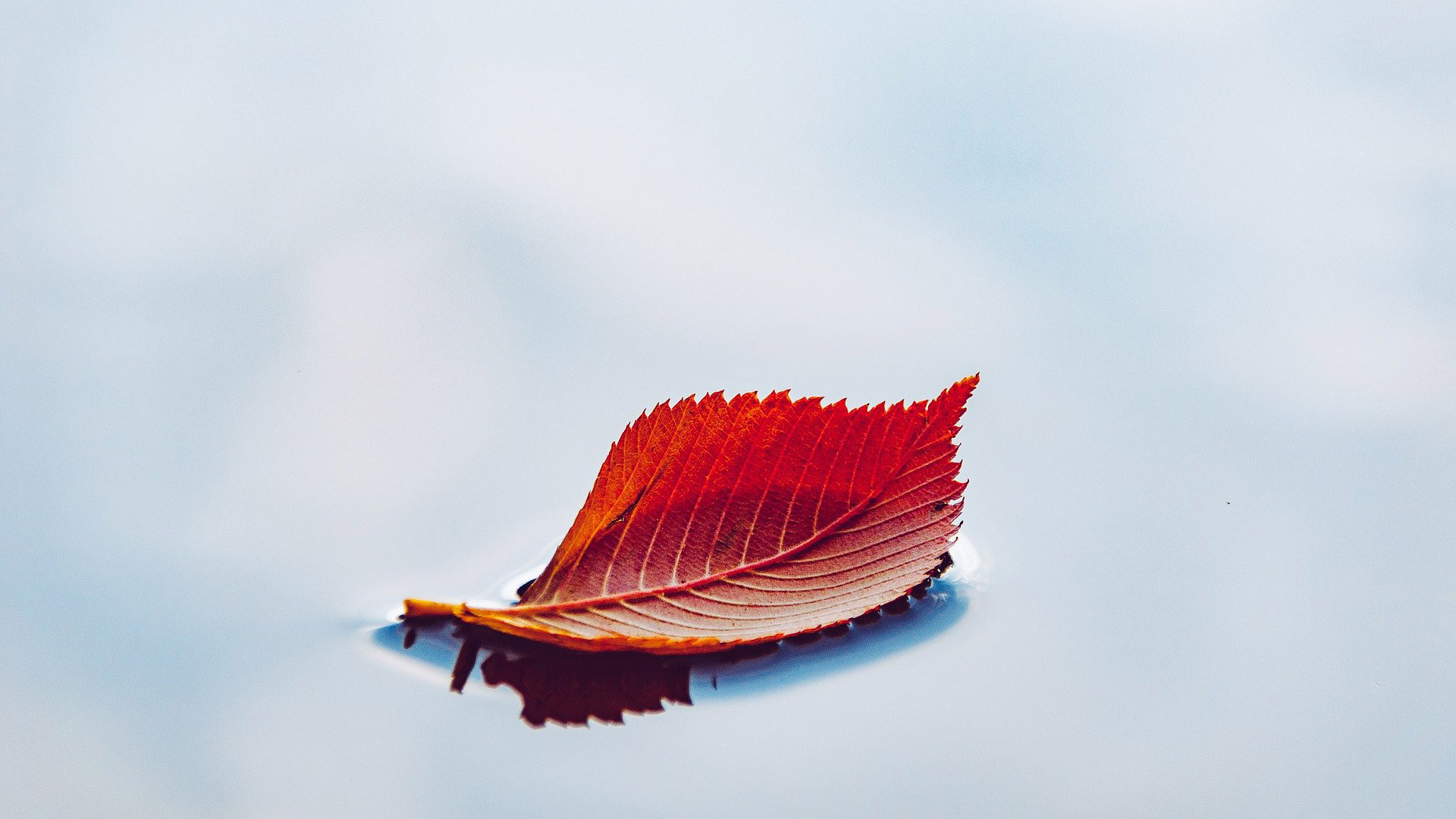 OT-Blog-01-1-1