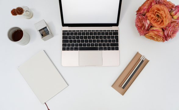 web-development web-development